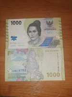 Отдается в дар Индонезия