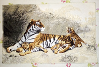 Отдается в дар Панно гобелен Тигрица с тигрятами