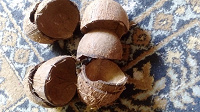Отдается в дар скорлупа кокоса