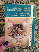 Отдается в дар Паспорт для кошки