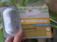 Отдается в дар Профендер