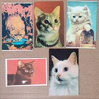 Отдается в дар Карманные календарики Кошки, 1990