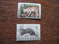 Отдается в дар 2 марки СССР, с животными, 1969,1971г