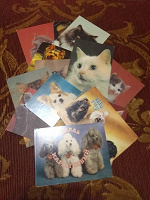 Отдается в дар Советские карманные календарики «Кошки и собаки»