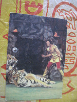 Отдается в дар календарики «цирк»,1981 и 1982 г