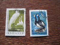 Отдается в дар 2 марки СССР с птицами, 1968г и 1972г