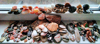 Коллекция камней из разных морей