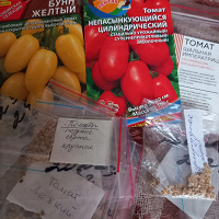 Отдается в дар Семена томатов