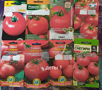 Отдается в дар Семена низкорослых томатов