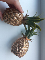 Отдается в дар Декоративные ананасы