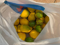 Отдается в дар лимон/лайм для кулинарных экспериментов