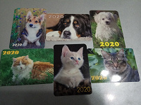 Отдается в дар Календарики 2020 собаки/кошки