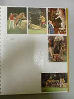 Отдается в дар Коллекция календариков «Тигры»