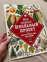 Отдается в дар Мой первый школьный проект