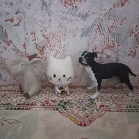 Отдается в дар Игрушки