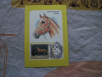 Отдается в дар карманные календарики 1990-1991 г, лошадь, тур
