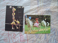 Отдается в дар 2 карманных календарика,1982 и 1986 г, серия «цирк»