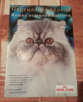Отдается в дар Буклет о персидской кошке