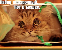 Отдается в дар Бижутерийный кот в мешке (Волгоград)