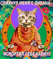Отдается в дар Новогодний посткроссинг от Кота