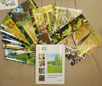 Отдается в дар Набор открыток — Лекарственные растения