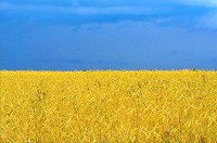 Отдается в дар Україна. 5 гривень 2011 «20 років Незалежності України»