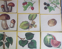 Отдается в дар Развивающие карточки: растения, ягоды, овощи, фрукты