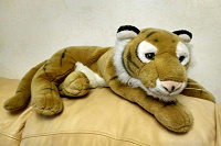 Отдается в дар грустный тигр