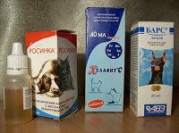 Отдается в дар Котовладельцам, собаководам