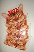 Отдается в дар год кота — календарики