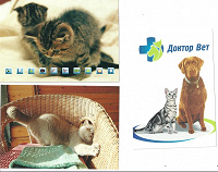 Отдается в дар Рекламные открытки с кошками