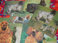 Отдается в дар открытки собаки