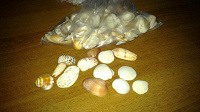 Ракушки.