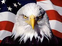 Отдается в дар США