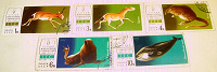 Отдается в дар Почтовые марки Фауна