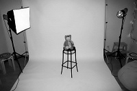 Отдается в дар Фотосессия для семьи
