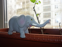 Отдается в дар Резиновый слоник