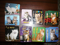 Отдается в дар карманные календарики на 2013год.-кошки