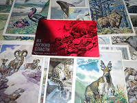 Отдается в дар Набор открыток краснокнижных животных, СССР