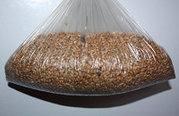 Отдается в дар килограмм пшеницы