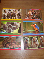 Отдается в дар Красочные фото-открытки с животными