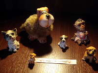 Отдается в дар *dogs and monkey*