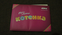 Отдается в дар альбом для котенка