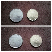 Отдается в дар Две иностранные монетки