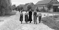 Отдается в дар фильм «Белая лента» на ДВД