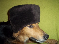 Отдается в дар шапка