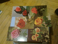 Отдается в дар открытки «Розы», 6 шт, Словакия