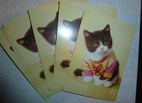 Отдается в дар карманные календарики котята(осталось 1)
