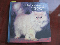 Отдается в дар книга про кошек