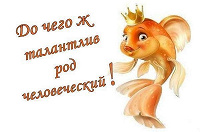Отдается в дар рыба-копилка
